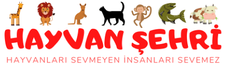 HayvanSehri.com - Hayvanseverlerin Buluşma Noktası